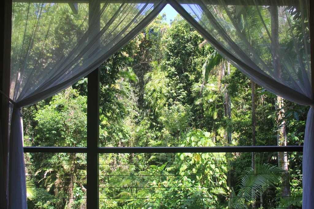 Silky Oaks Lodge Mossman Luaran gambar